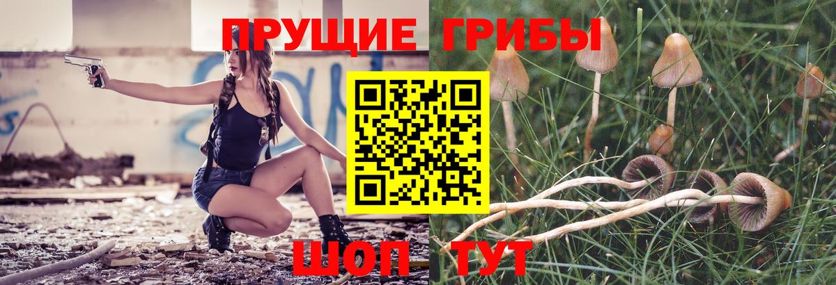 НБОМе Вольск